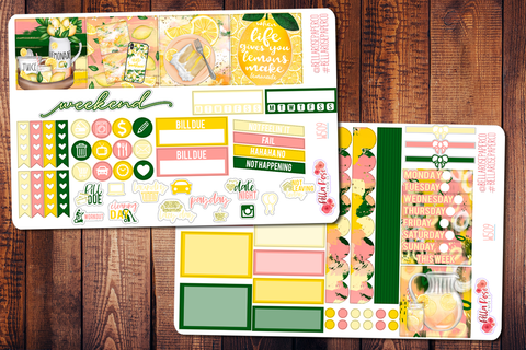 Squeeze The Day Mini Happy Planner Sticker Kit W509