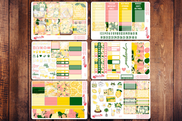 Squeeze The Day Planner Sticker Kit W509