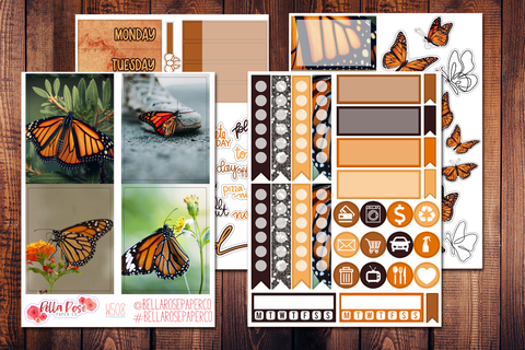 Monarch Butterfly Photo Mini Sticker Kit W508