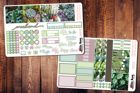 Succulent Photo Mini Happy Planner Sticker Kit W606