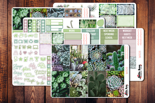 Succulent Photo Planner Sticker Kit W606