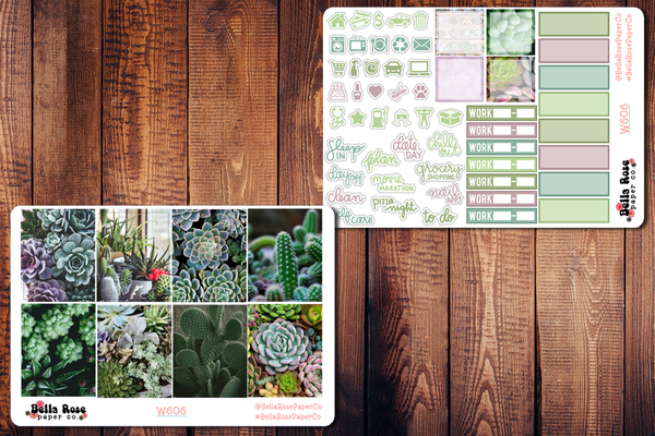 Succulent Photo Planner Sticker Kit W606