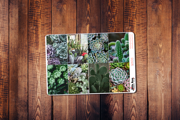 Succulent Photo Planner Sticker Kit W606