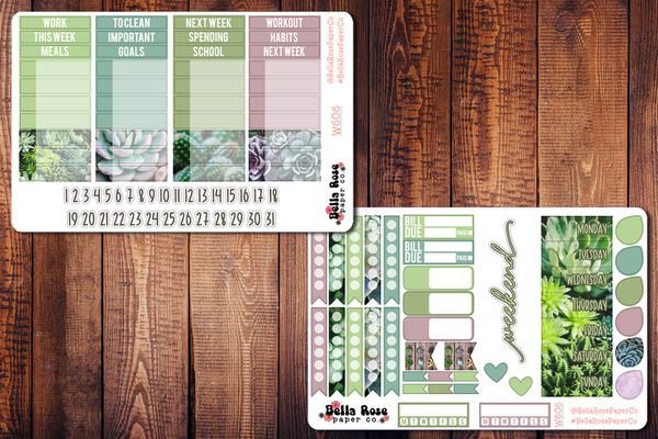 Succulent Photo Planner Sticker Kit W606