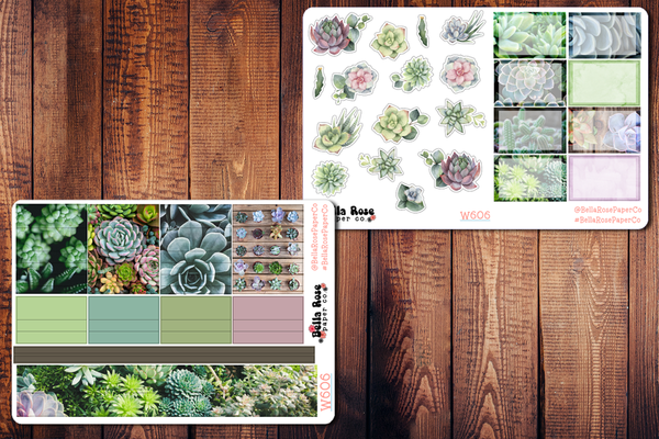 Succulent Photo Planner Sticker Kit W606