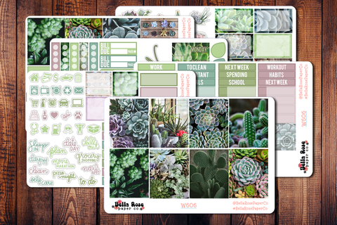 Succulent Photo Planner Sticker Kit W606