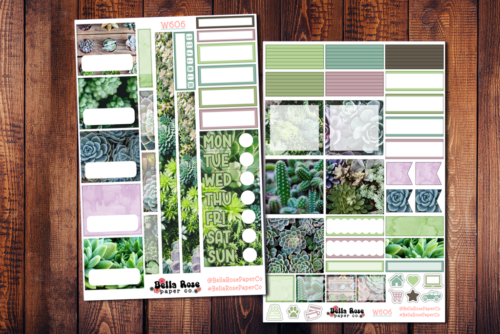 Succulent Academic Photo Planner Sticker Kit W606