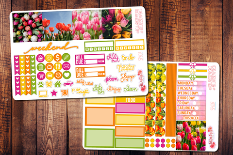Tulip Photo Mini Happy Planner Sticker Kit SP607