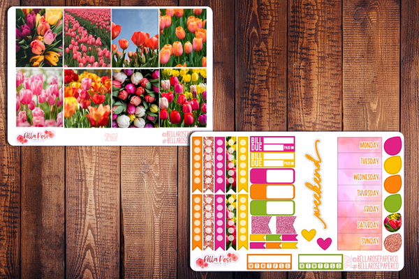 Tulip Photo Planner Sticker Kit SP607