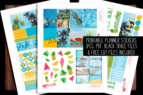 Pool Party Photo Happy Planner Kit | PRINTABLE PLANNER STICKERS