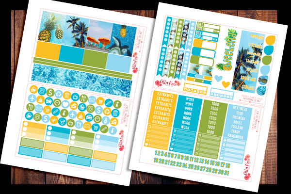 Pool Party Photo Planner Kit | PRINTABLE PLANNER STICKERS