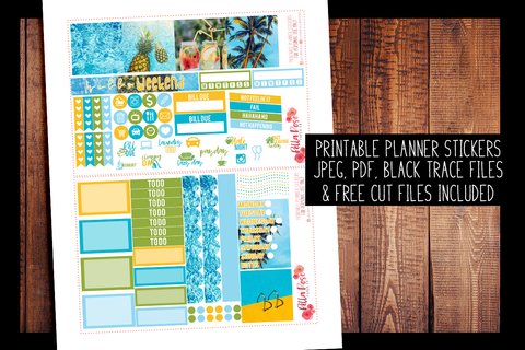 Pool Party Photo Mini Happy Planner Kit | PRINTABLE PLANNER STICKERS