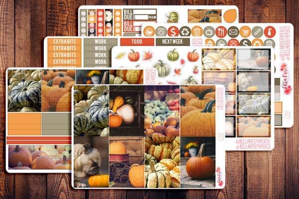 Pumpkin Photography Planner Sticker Kit F207