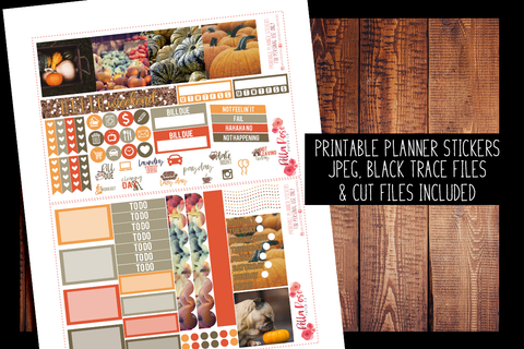 Pumpkin Photography Mini Happy Planner Kit | PRINTABLE PLANNER STICKERS