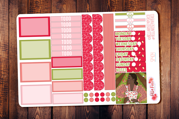 Strawberry Dreams Mini Happy Planner Sticker Kit SP404