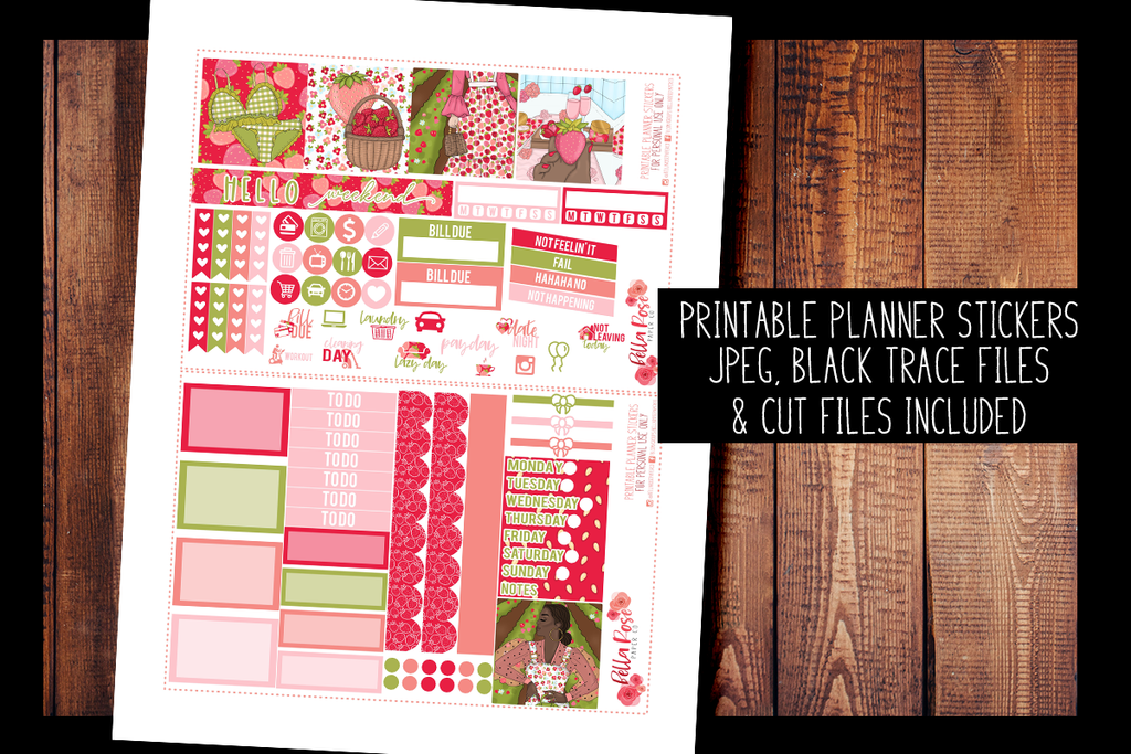 Strawberry Dreams Mini Happy Planner Kit | PRINTABLE PLANNER STICKERS
