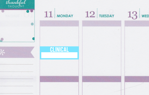 Clinical Box Nursing Student Planner Stickers S004