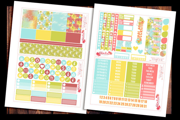 Cruise Vacation Planner Kit | PRINTABLE PLANNER STICKERS