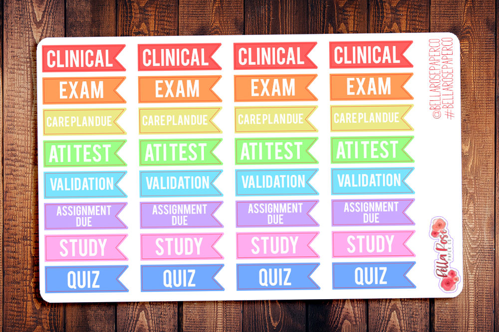 Nursing Student Flags Planner Stickers S006