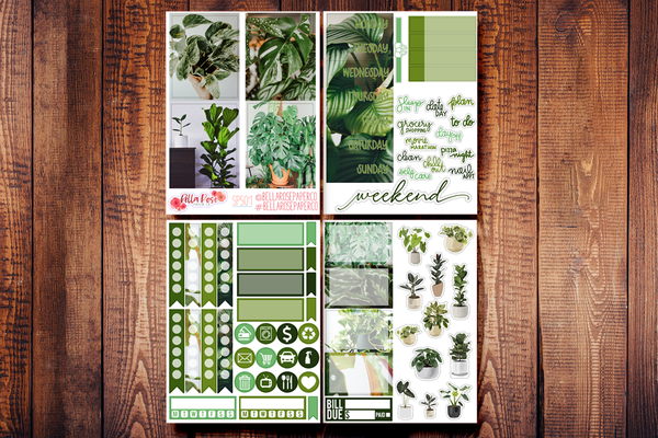 House Plants Photo Mini Sticker Kit SP501