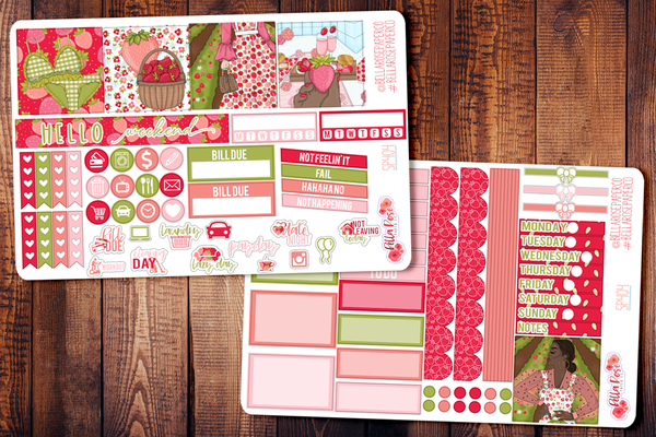Strawberry Dreams Mini Happy Planner Sticker Kit SP404