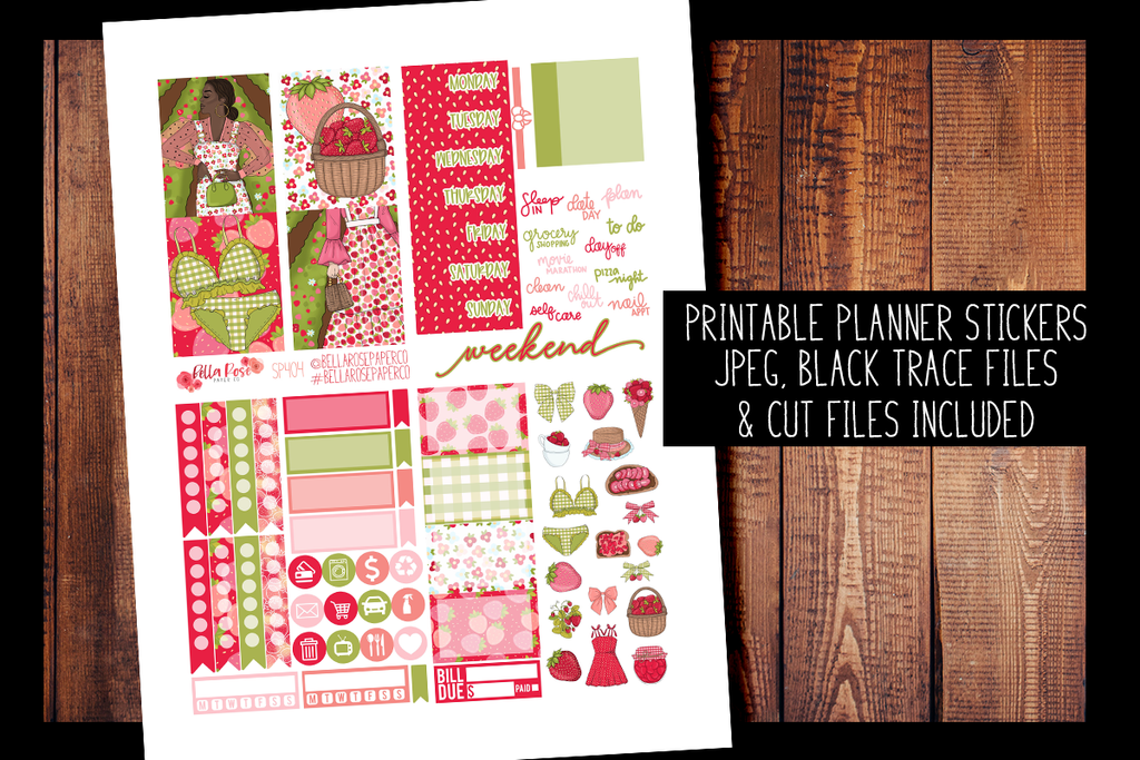 Strawberry Dreams Mini Planner Kit | PRINTABLE PLANNER STICKERS