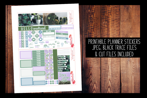 Succulent Photography Mini Happy Planner Kit | PRINTABLE PLANNER STICKERS